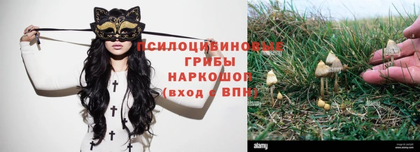 эйфоретик Надым